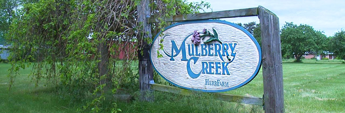 Mulberry Creek Herb Farm Sign